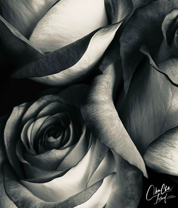 Petals